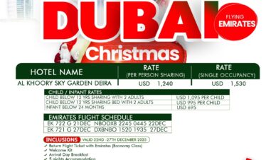 Dubai – Fly Emirates- Chrismas Trip